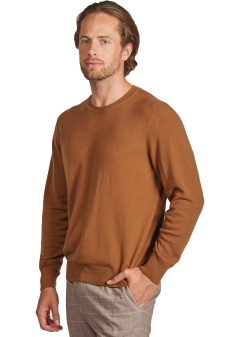 Vigogne  pull homme col rond vicunaroundhe