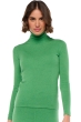 Cachemire pull femme col roule jade basil xs