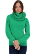 Cachemire pull femme col roule tisha new green 3xl