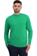 Cachemire pull homme col rond nestor new green xl