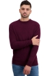 Cachemire pull homme col rond touraine first bordeaux l