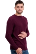 Cachemire pull homme col rond touraine first bordeaux s