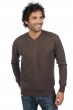 Cachemire pull homme col v gaspard marron chine m