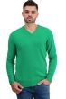 Cachemire pull homme les intemporels hippolyte 4f new green m