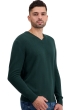Cachemire pull homme tour first green l