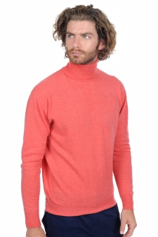 Cachemire  pull homme col roule edgar