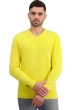 Cachemire petits prix homme tour first daffodil xl