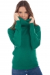 Cachemire pull femme col roule anapolis vert anglais s