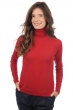 Cachemire pull femme col roule jade rouge velours 4xl