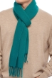 Cachemire pull femme echarpes et cheches zak200 vert foret 200 x 35 cm