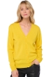 Cachemire pull femme taline first daffodil xs