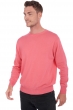 Cachemire pull homme col rond arklow blushing m