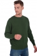 Cachemire pull homme col rond arklow cedar m