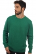 Cachemire pull homme col rond bilal vert anglais 3xl