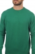Cachemire pull homme col rond nestor 4f vert anglais 2xl