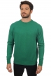 Cachemire pull homme col rond nestor 4f vert anglais s