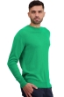 Cachemire pull homme col rond nestor new green 3xl