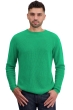 Cachemire pull homme col rond taima new green l