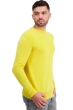 Cachemire pull homme col rond touraine first daffodil l