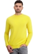 Cachemire pull homme col rond touraine first daffodil m
