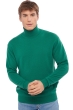 Cachemire pull homme col roule edgar vert anglais s