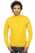 Cachemire pull homme col roule frederic tournesol 4xl