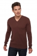 Cachemire pull homme col v tor first chocobrown l