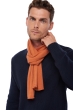 Cachemire pull homme echarpes et cheches ozone butternut 160 x 30 cm