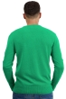 Cachemire pull homme epais hippolyte 4f new green l