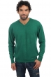 Cachemire pull homme gaspard vert anglais xs