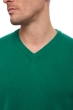 Cachemire pull homme hippolyte 4f vert anglais xs