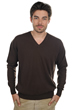 Cachemire pull homme hippolyte brownies m