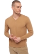 Cachemire pull homme hippolyte camel xs