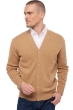 Cachemire pull homme leon camel s