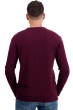 Cachemire pull homme touraine first bordeaux s